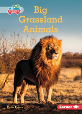 Kniha Big Grassland Animals Katie Peters