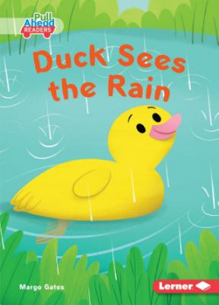 Kniha Duck Sees the Rain Margo Gates