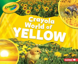 Książka Crayola (R) World of Yellow Mari C. Schuh