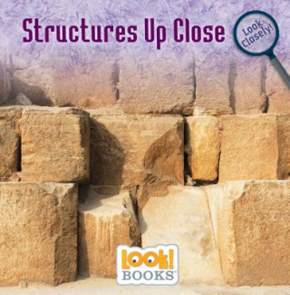 Knjiga Structures Up Close Wiley Blevins