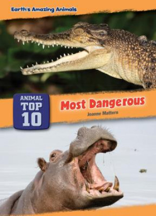 Knjiga Most Dangerous Joanne Mattern