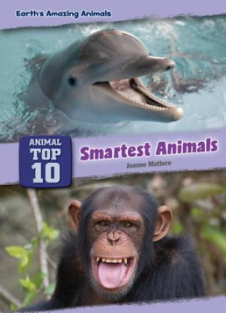 Könyv Smartest Animals Joanne Mattern