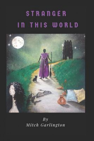 Knjiga Stranger - In This World Mitch Garlington