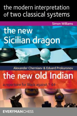 Kniha Modern Interpretation of two classical systems Alexander Cherniaev