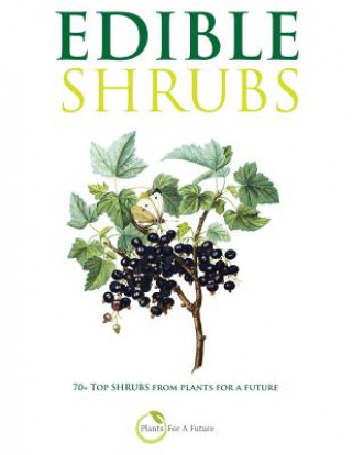Книга Edible Shrubs Plants for a. Future