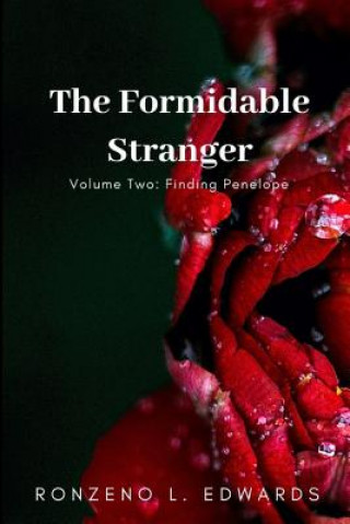 Könyv Formidable Stranger Volume 2 Ronzeno Edwards