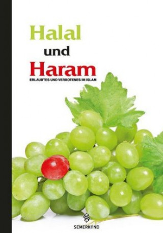 Boek Halal und Haram Hasip Asutay