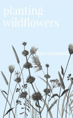 Könyv Planting Wildflowers Kira Corasanti