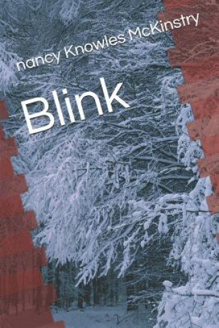 Könyv Blink Nancy Knowles McKinstry