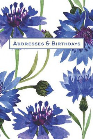 Buch Addresses & Birthdays: Watercolor Blue Carnations Andante Press