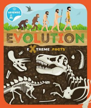 Könyv Evolution Steffi Cavell-Clarke