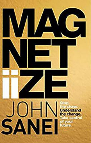 Kniha Magnetiize John Sanei