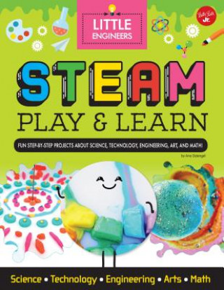 Kniha STEAM Play & Learn: Fun Step-By-Step Projects to Teach Kids about STEAM Ana Dziengel