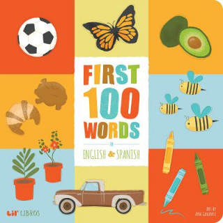 Kniha First 100 Words in English and Spanish Ariana Stein