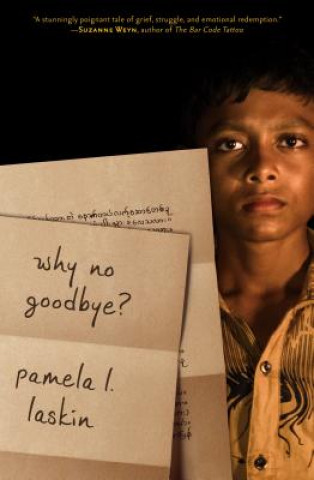Boek Why No Goodbye? Pamela L. Laskin
