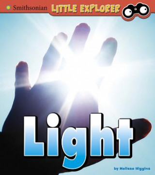 Kniha Light Melissa Higgins