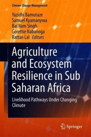 Boek Agriculture and Ecosystem Resilience in Sub Saharan Africa Yazidhi Bamutaze