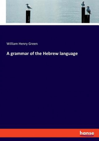 Книга grammar of the Hebrew language William Henry Green