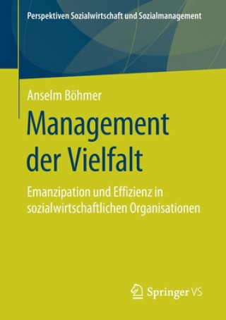Kniha Management Der Vielfalt Anselm Böhmer