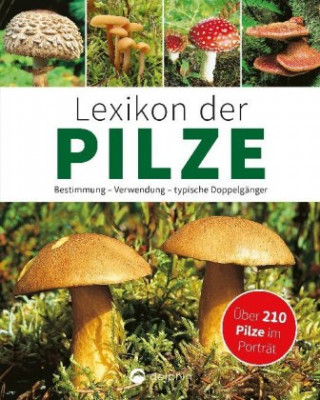 Carte Lexikon der Pilze - Bestimmung, Verwendung, typische Doppelgänger Hans W. Kothe