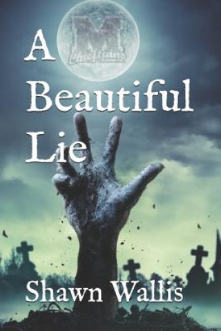 Boek A Beautiful Lie Shawn Wallis
