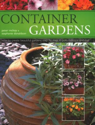 Kniha Successful Houseplants, Window Boxes, Hanging Baskets, Pots & Containers, The Illustrated Practical Guide to Stephanie Donaldson