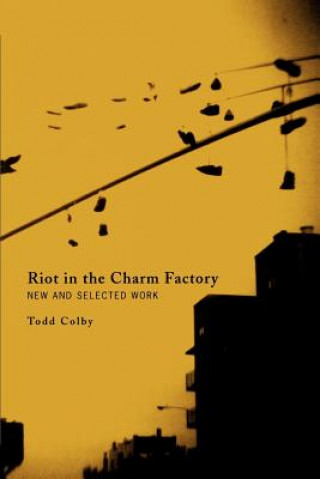 Книга Riot in the Charm Factory Todd Colby
