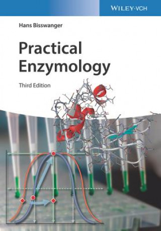 Kniha Practical Enzymology 3e Hans Bisswanger