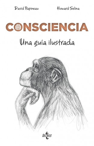 Kniha CONSCIENCIA DAVID PAPINEAU