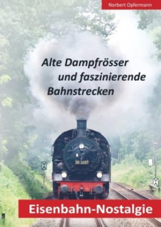 Kniha Eisenbahn-Nostalgie Norbert Opfermann