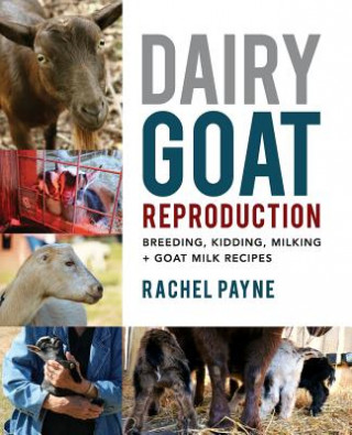 Kniha Dairy Goat Reproduction: Breeding, Birthing, and Milking + Goat Milk Recipes Rachel Payne