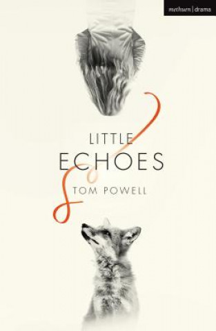 Kniha Little Echoes Tom Powell