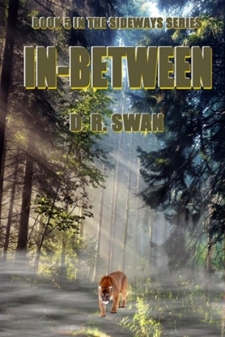 Book In-Between D R Swan