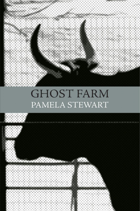 Könyv Ghost Farm Pamela Stewart