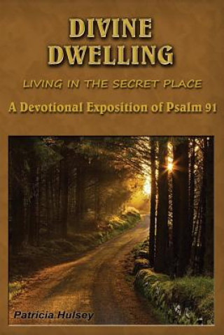 Book Divine Dwelling Patricia Hulsey