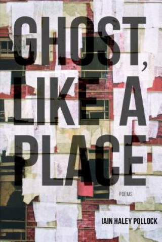 Kniha Ghost, Like a Place Iain Haley Pollock