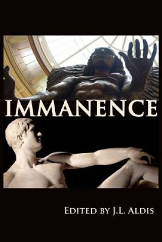 Book Immanence J L Aldis