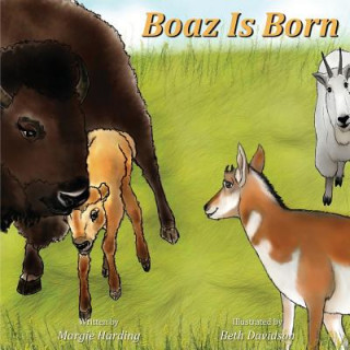 Könyv Boaz Is Born Margie Harding