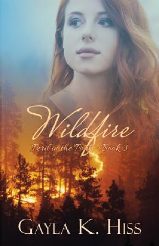 Libro Wildfire Gayla K Hiss
