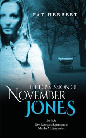 Kniha The Possession of November Jones Pat Herbert