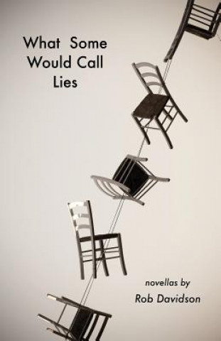 Book What Some Would Call Lies Rob Davidson