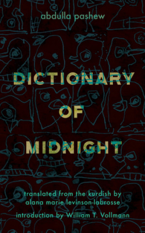 Книга Dictionary of Midnight Abdulla Pashew