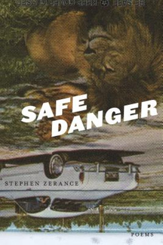 Libro Safe Danger Stephen Zerance