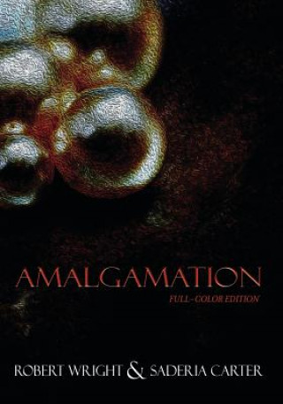 Kniha Amalgamation: (Full Color edition) Robert Wright