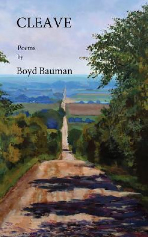 Buch Cleave Boyd Bauman