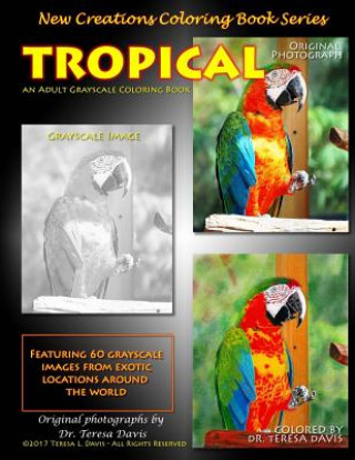 Kniha New Creations Coloring Book Series: Tropical Brad Davis