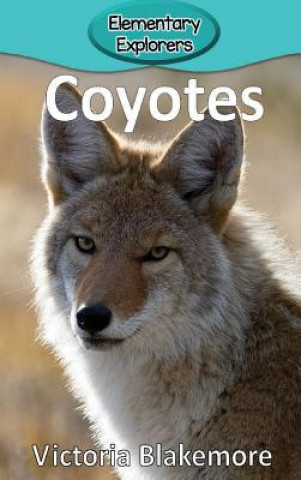 Buch Coyotes Victoria Blakemore