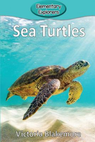 Buch Sea Turtles Victoria Blakemore