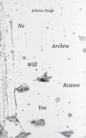 Kniha No Archive Will Restore You Julietta Singh