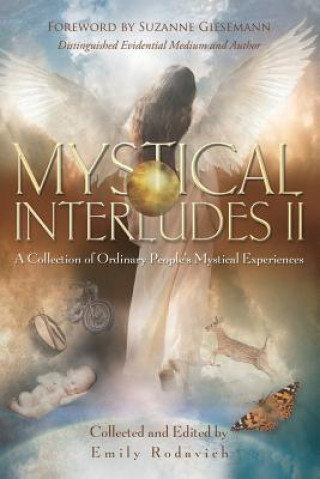 Könyv Mystical Interludes II: A Collection of Ordinary People's Mystical Experiences Emily Rodavich